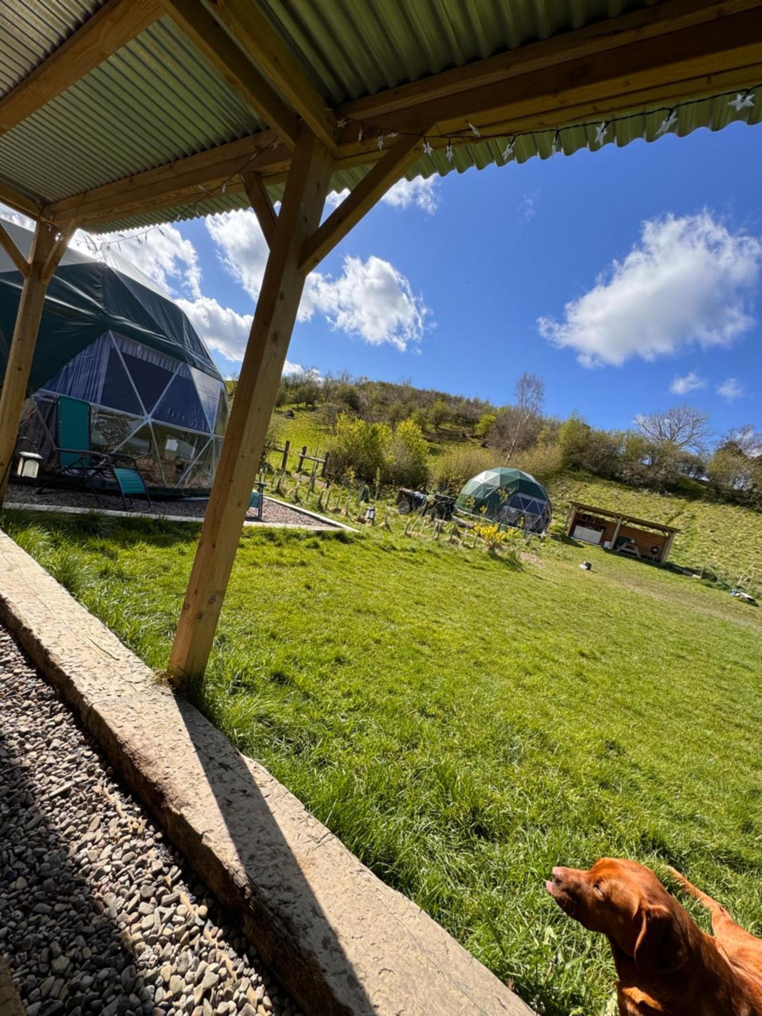 Geodesic Dome Glamping Hotel Llanidloes Exterior photo